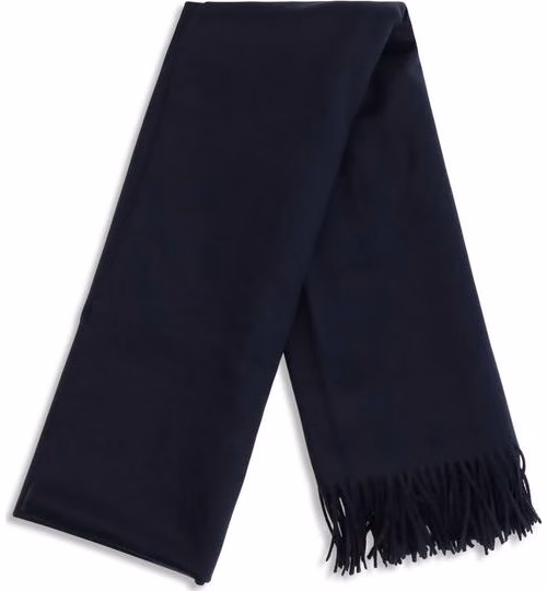 Max Mara Blue Cashmere Scarf