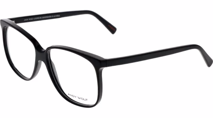 Andy Wolf Black Acetate Glasses (Frames)