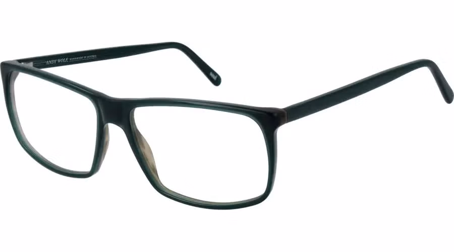 Andy Wolf Bicolor Acetate Glasses (Frames)
