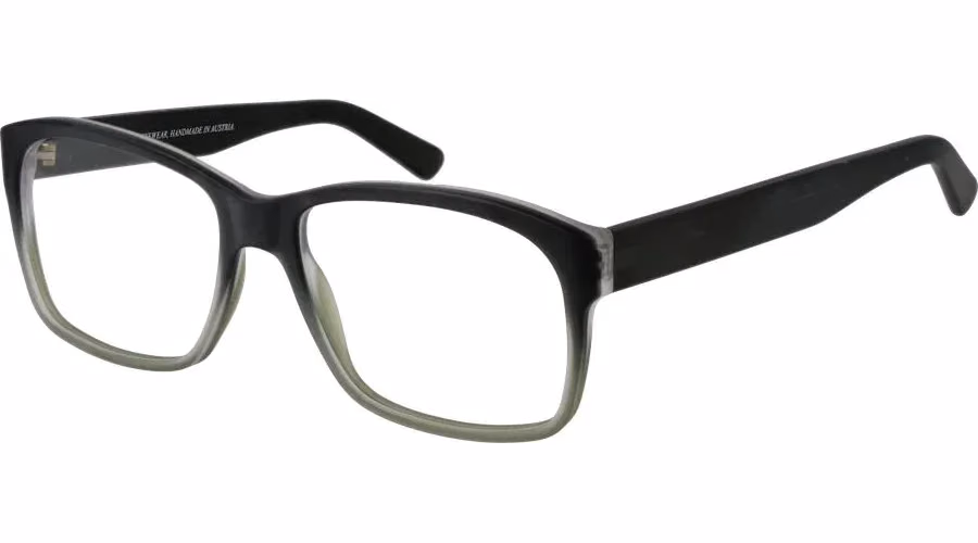 Andy Wolf Black Acetate Glasses (Frames)