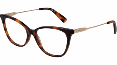 Brown Metal Glasses (Frames)